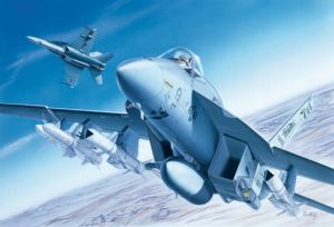 Italeri 1/72 Boeing F/A-18E Super Hornet # 0083
