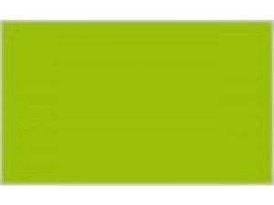 Vallejo Premium Color 60ml - Green Fluorescent # 62039